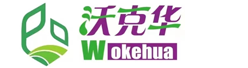 澳门金沙官方平台|凤凰网军事